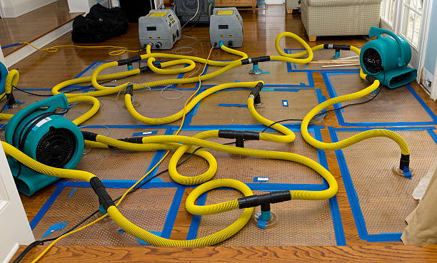 Professional Sewage Cleanup technician working in Davis, OK